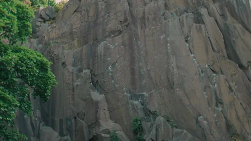 dept._q_frames_s1e5_frame_11.webp