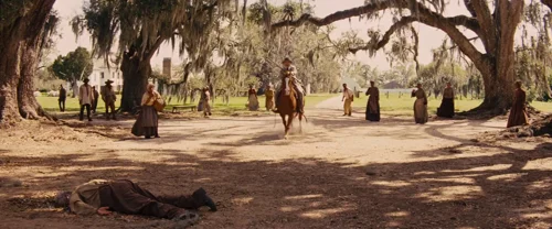 django_unchained_frame_1738665908.0752416.webp
