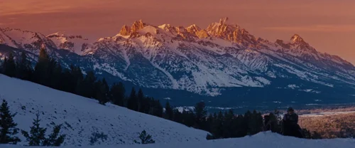 django_unchained_frame_1738665912.443696.webp
