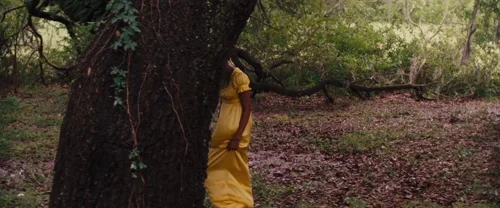 django_unchained_frame_1738665920.0163374.webp