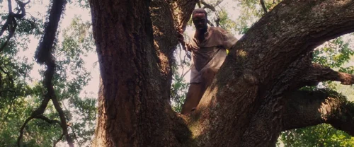 django_unchained_frame_1738665921.1080723.webp