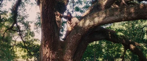 django_unchained_frame_1738665921.386769.webp