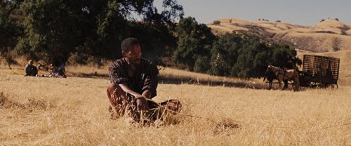 django_unchained_frame_1738665941.1058645.jpg