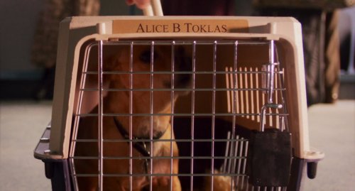 drive-away_dolls_frames_frame_176.jpg