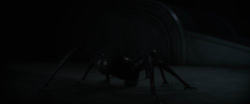 dune_part_one_frames_frame_114.jpg