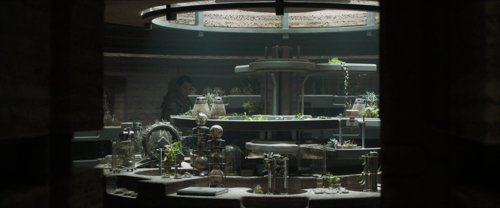 dune_part_one_frames_frame_256.jpg