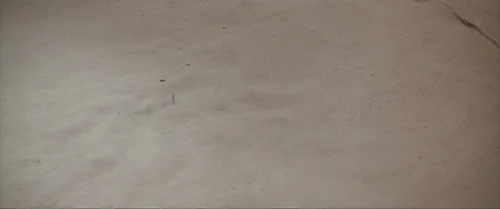 dune_part_two_frames_frame_292.webp