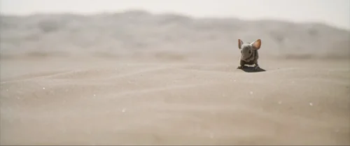 dune_part_two_frames_frame_91.webp