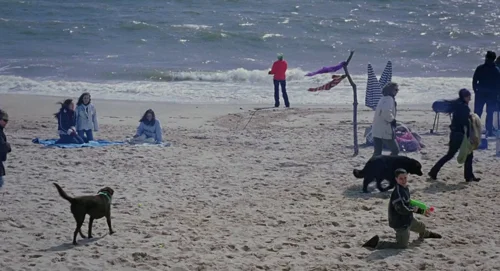 eternal_sunshine_of_the_spotless_mind_frame_1742497236.1083548.webp