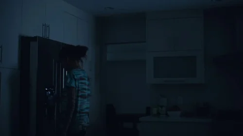euphoria_frame_1740172559.261678.webp