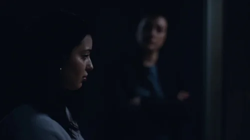 euphoria_frame_1740173448.599651.webp