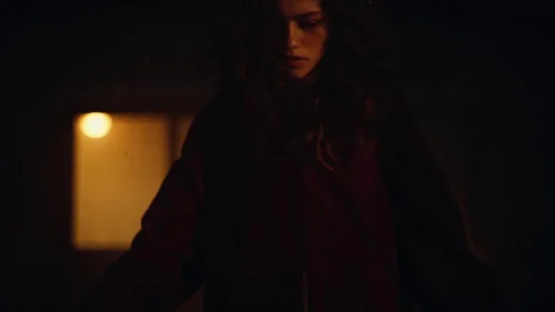 euphoria_frame_1740174083.734084.webp