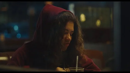 euphoria_frame_1740174405.9932907.webp