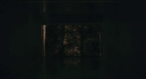euphoria_frame_1740174992.910403.webp