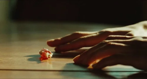 euphoria_frame_1740175865.7858782.webp