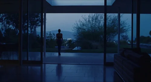 euphoria_frame_1740175879.4023268.webp