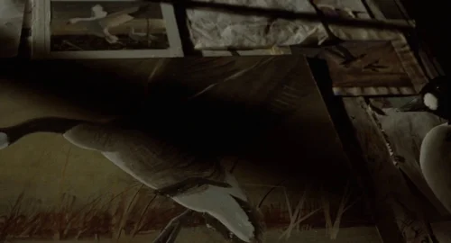 fargo_frame_1739879558.233789.webp