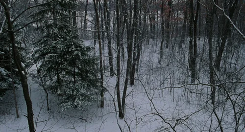 fargo_frame_1739879562.448686.webp