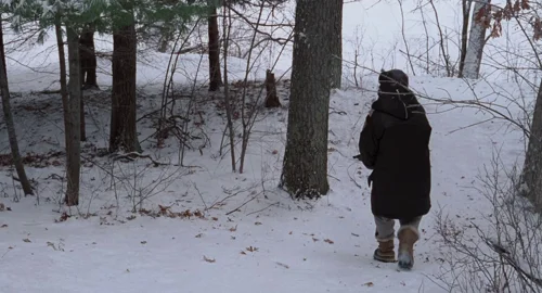 fargo_frame_1739879580.6552196.webp
