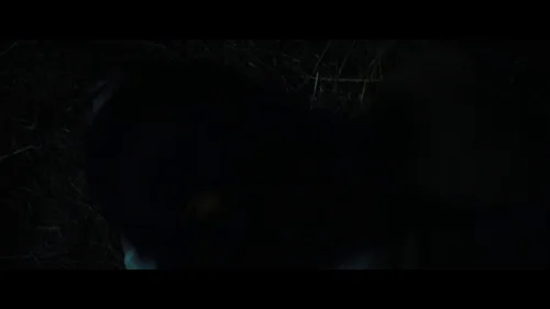 fear_street:_part_three_-_1666_frame_1738860853.835333.webp