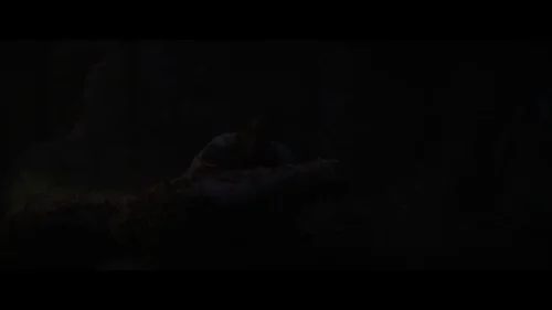fear_street:_part_three_-_1666_frame_1738860866.5982015.webp