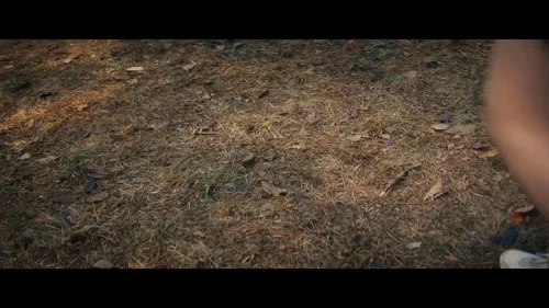 fear_street:_part_two_-_1978_frame_1738860741.594375.webp