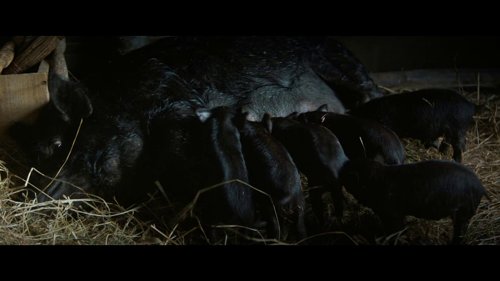 fear_street:_part_three_-_1666_frame_1738860844.7418134.jpg