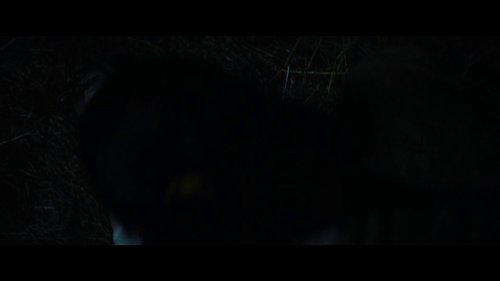 fear_street:_part_three_-_1666_frame_1738860853.835333.jpg