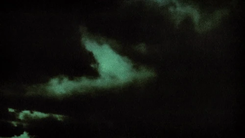 flawed_mangoes_-_surreal_(official_music_video)_frames_frame_43.webp