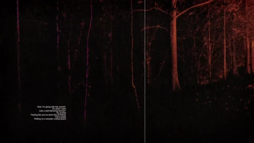 flawed_mangoes_-_surreal_(official_music_video)_frames_frame_8.webp