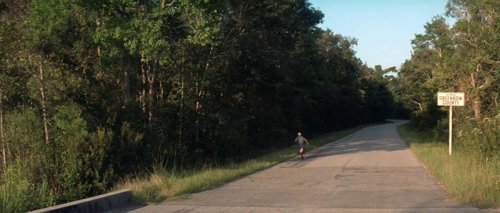 forrest_gump_frame_1748479489.2705157.jpg