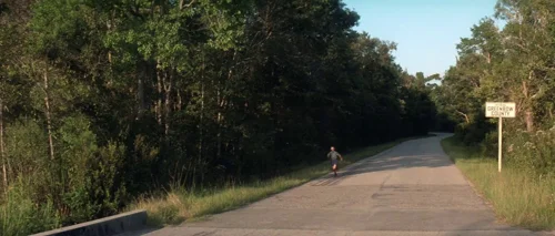 forrest_gump_frame_1748479489.2705157.webp