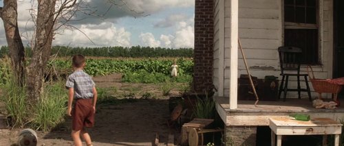 forrest_gump_frame_1748479489.4600563.jpg