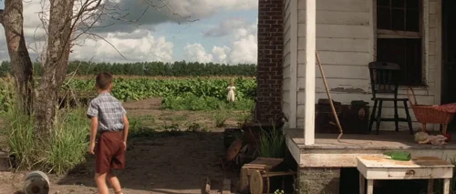 forrest_gump_frame_1748479489.4600563.webp