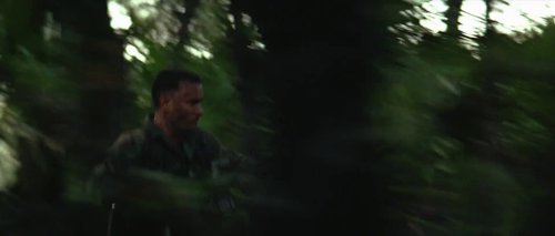 forrest_gump_frame_1748479496.9332407.jpg