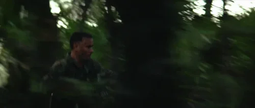 forrest_gump_frame_1748479496.9332407.webp