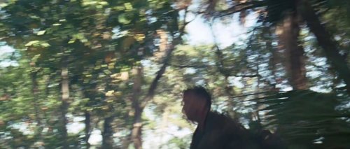 forrest_gump_frame_1748479497.3102808.jpg