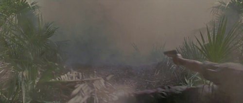 forrest_gump_frame_1748479497.4786973.jpg