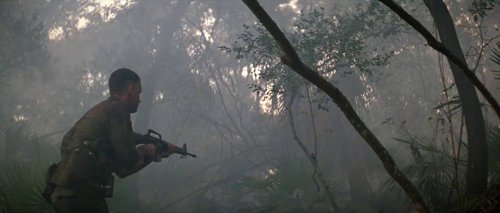 forrest_gump_frame_1748479497.6741812.jpg