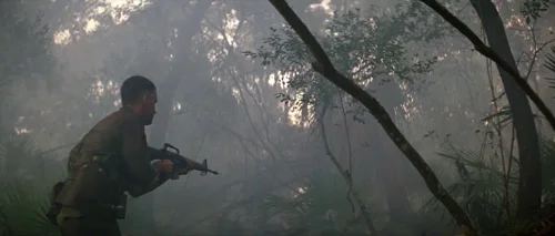 forrest_gump_frame_1748479497.6741812.webp