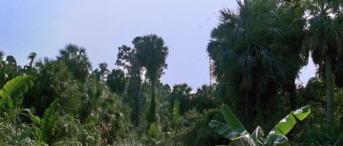 forrest_gump_frame_1748479497.8759608.jpg