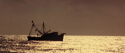 forrest_gump_frame_1748479508.5970833.webp