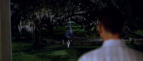 forrest_gump_frame_1748479511.2687333.jpg