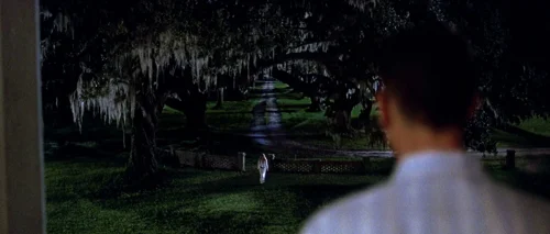forrest_gump_frame_1748479511.2687333.webp