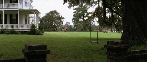 forrest_gump_frame_1748479511.6147044.jpg