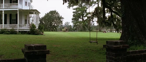 forrest_gump_frame_1748479511.6147044.webp