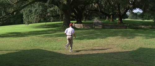 forrest_gump_frame_1748479513.5742767.webp