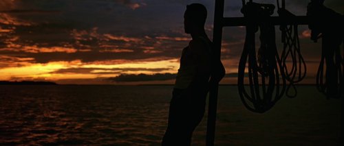 forrest_gump_frame_1748479517.2026489.jpg