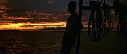 forrest_gump_frame_1748479517.2026489.webp