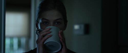 gone_girl_frames_frame_164.jpg